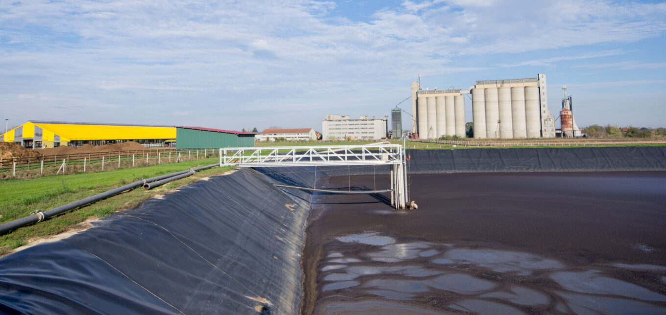 Negative Effects Of Manure On The Environment – Mother Earth News - Vimarsana News